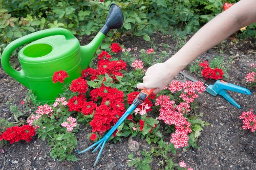 The image shows a gardener's hand using a small hand fork and a pair of garden shears to tend to a flower bed filled with red and pink flowering plants, situated in a garden area with dark, moist soil. To the left, a bright green plastic watering can with a black spout sits on the ground, suggesting routine watering and maintenance. The flower bed is bordered by a lush, green shrubbery or hedge in the background, indicating a well-kept garden space typical of residential landscaping in the Shortlands area. The scene is outdoors under natural daylight, with a focus on careful planting and garden upkeep, reflecting professional gardening and lawn care practices that a local company like Hedge Trimming Shortlands might undertake to enhance outdoor spaces and promote healthy plant growth.