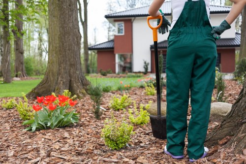 Close-up of gardening tools used for hedge trimming in Shortlands.