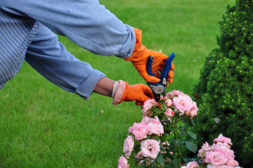 Crew inspecting hedgerow before cutting